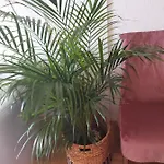 Apartment Iris Brela